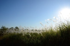 [뚜벅뚜벅 전북여행] 만경강 둑길 드라이브 : 가을나들이 가기 좋은 곳