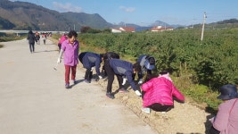 농협 무주군지부&무주농협, 무주읍 전도마을 꽃길 조성