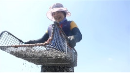 [다큐세상] 윤도현과 허준의 매향리 연가