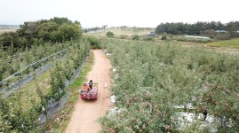 [인간극장] 사랑한다면 이들처럼 사과밭 로맨스