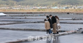 부안 곰소염전 유명세…관광지로 탈바꿈 예정