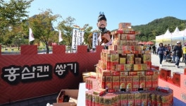 진안홍삼축제, 전북도 최우수축제 선정