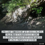 [카드뉴스] 진안 운일암반일암 대불바위와 열두굴 산림문화자산 지정