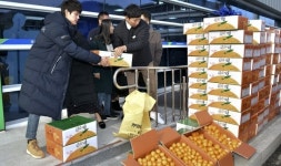 장수군 농민회·제주시 남원읍 농민회, 지역 농산물 팔아주기 행사