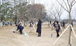 [새해특집] 익산시, 환경친화도시 구축…쾌적한 미래를 설계한다