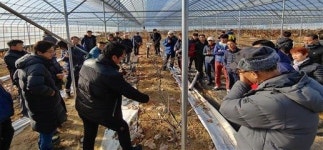 진안군농업기술센터, 체리재배 현장교육