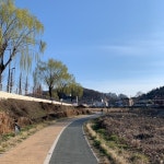 [소곤소곤 전북일상] 자전거 타고 전주 산책, 페달을 밟아 봐요, 봄바람이 느껴지나요?