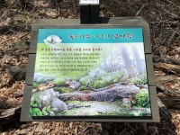 [전북 천리길] 자연이 만든 보물, 구천동 어사길 맑은 계곡물 따라 올라가며 경치를 즐기자
