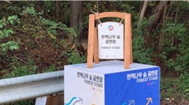 [문화＆공감 2020 시민기자가 뛴다] 축제와 환경, 코로나19가 보여준 새로운 이면