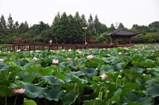 [창간 70주년] 전주 주요 명소, 한옥마을부터 후백제 유적지까지 둘러보기