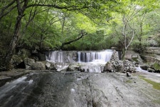 [창간 70주년] 청정 고랭지 진안, 생명의 땅으로 행복 여행
