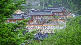 [창간 70주년] 백두대간 자연 장수로 초대, 생명의 물길을 따라