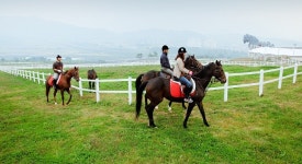 새만금, 국제 승마산업 중심지 도약 시동
