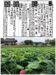 [윤주 한국지역문화생태연구소장의 사연 있는 지역이야기] 79. 한반도를 관통한 국도 1호선