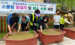 전북농협, 화정초 학생들과 모내기·채소 수확 체험
