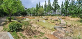 전주 덕진공원 내 갈대습지 탈바꿈, 열린 정원으로 조성