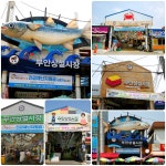 [뚜벅뚜벅 전북여행] 부안상설시장 & 옥상테마정원