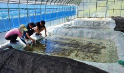 무주군, 애반딧불이 사육 농가 모집