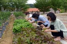 [뚜벅뚜벅 전북여행] 무주 솔다박 체험 휴양마을, 소박하지만 확실한 행복이 깃든 농촌공감여행