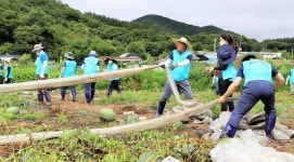 농식품부 직원들, 진안에서 수해복구 활동