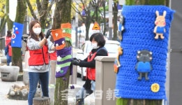 전주시자원봉사센터, 한옥마을·첫마중길 가로수에 형형색색 겨울옷