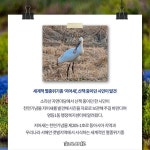 [카드뉴스] 익산 소라산 자연마당에 천연기념물 저어새 출현