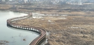 전주 혁신도시·만성지구 잇는 산책로 생겼다