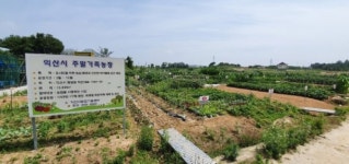 코로나19 블루 극복, 익산 주말 가족농장 분양