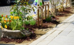 전주 한옥마을 향교길, 숲속의 길 새 단장