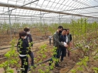 진안군농업기술센터, 과수 시범재배 농가에 맞춤형 현장 컨설팅 교육 실시
