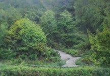 전북산림박물관 기획전 산은 높고, 물은 깊네