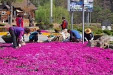 무주군 설천면 주민자치위원회 지역사랑 봉사활동 관심
