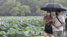 비 내리는 덕진공원