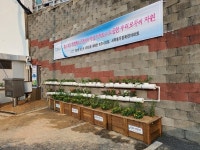 전주 우정목련아파트 마을공동체의 도전과 실험