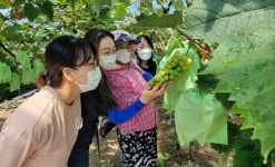 무주군, 특화품목 전문가 육성 위한 팜메이트 운영