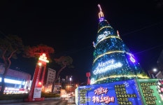 전주 오거리광장 대형 트리