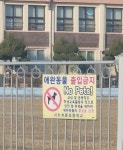 도베르만이 목줄 없이 학교 운동장에? 시민 공분