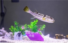 남원백두대간생태교육장 안전한 체험·특별한 만남 특별기획전 실시