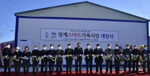 장수군-무진장축협, 장계 스마트 가축시장 개장