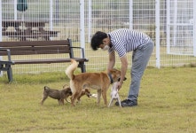 반려동물과 사람이 더불어 행복한 익산 조성한다