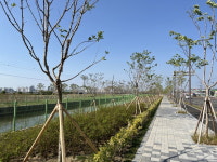 계절 따라 다채로운 익산 가로수 ‘눈길’