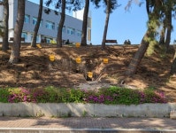 군산대 캠퍼스 내 다수의 인공동굴 발견