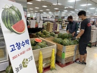 높을고창 수박, 제주도 여름을 시원하게 만들다