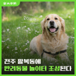 [카드뉴스] 반려동물 놀이터 ‘같이가개’
