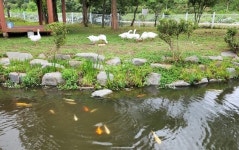 장수군 장계 공공하수처리장, 친환경 주민휴식 공간 탈바꿈