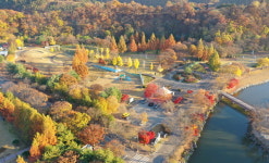 국민관광지 임실 사선대에 단풍 방문객 급증