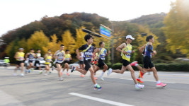 [제34회 전북역전마라톤] 10일 ‘힘찬 레이스’ 도내 시 · 군대표들 가을길 역주한다