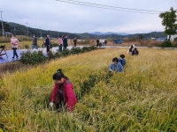농촌진흥청, 식량작물 이용 치유농업 프로그램 효과 확인