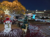 익산시청 광장 LED 경관조명 점등