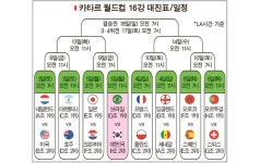 [NIE] 2022 카타르 월드컵 제대로 알고 즐기기